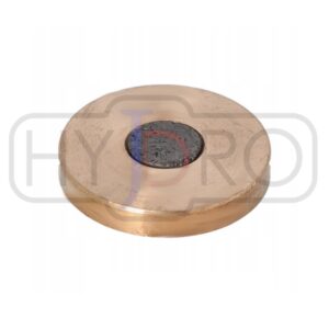 Ślizg wysuwu 30x3mm Palfinger HIA130A